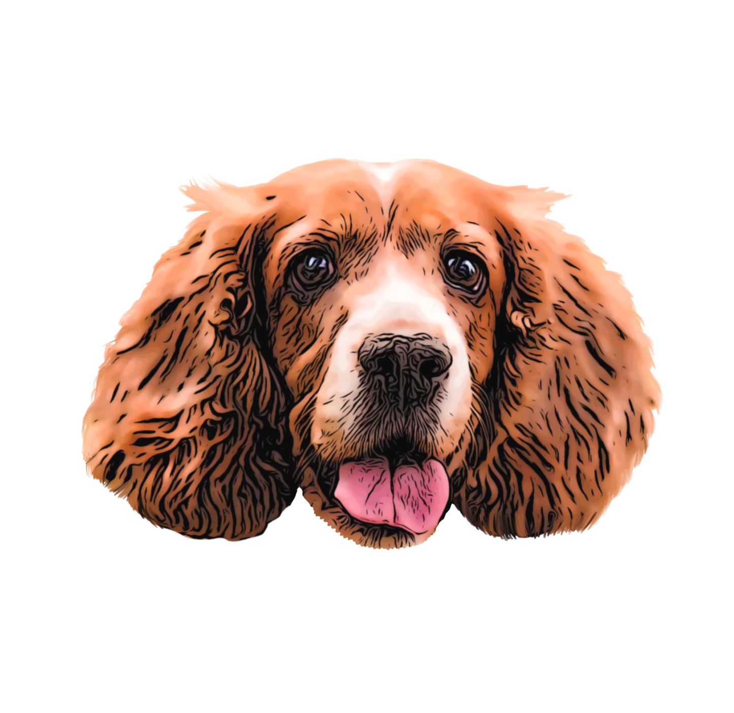 Ilustración Mascota Adicional