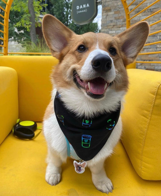 Bandana Holographic Capuccino Love