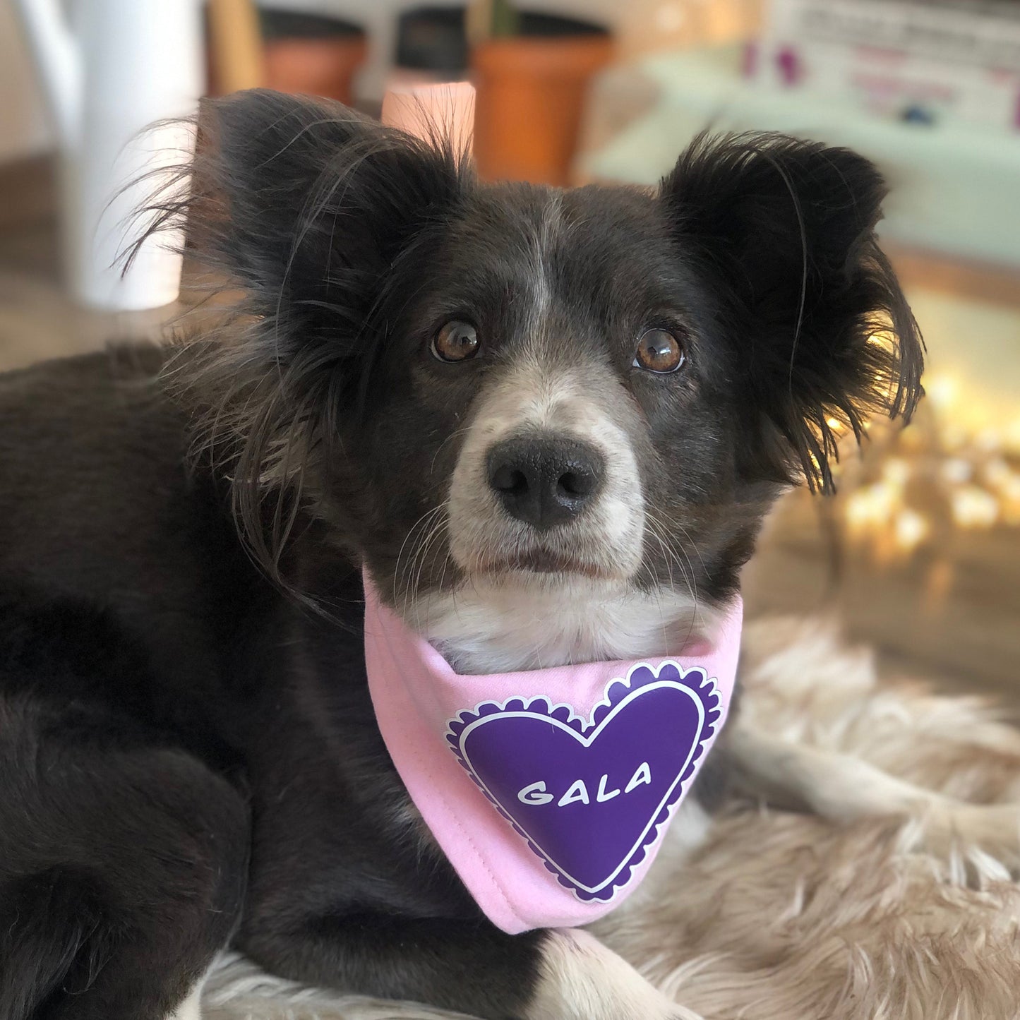 Bandana Personalizada Pink Heart
