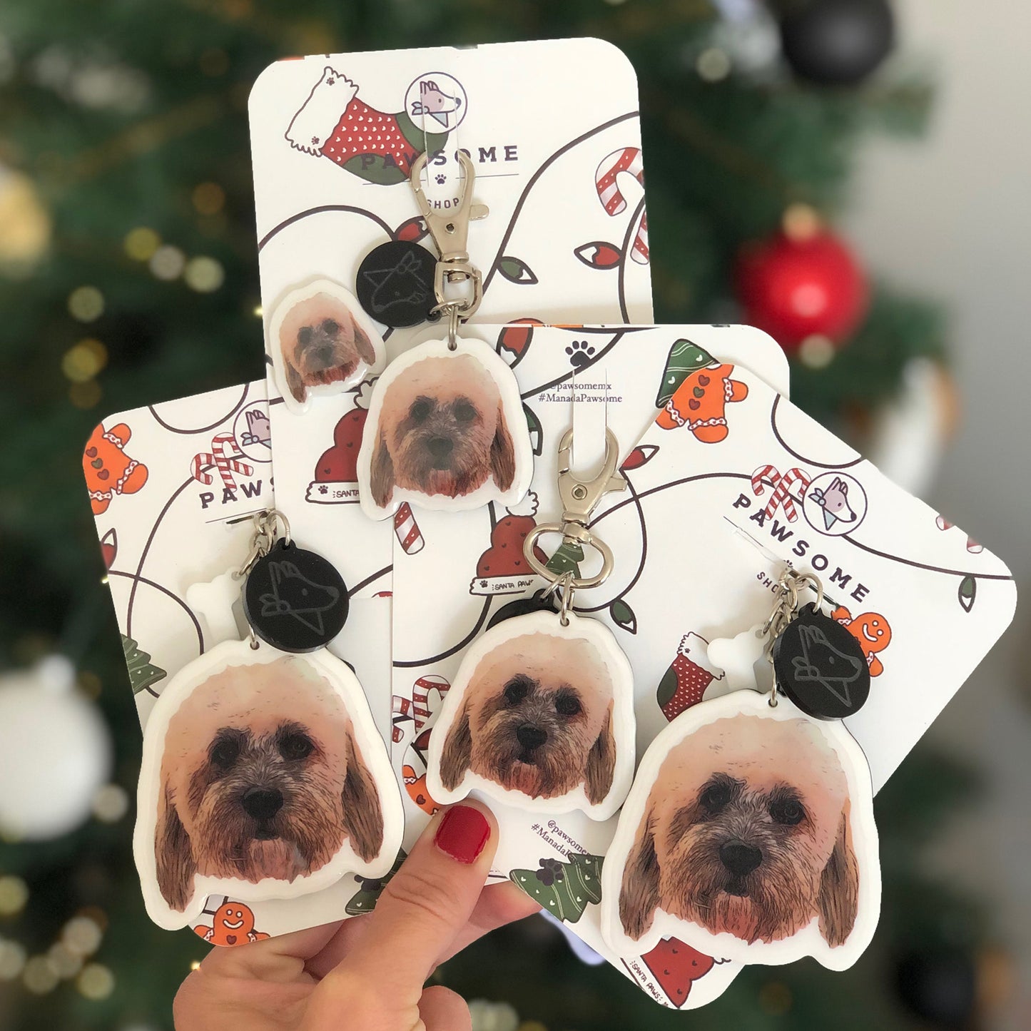 Family Kit | Placa ID + DOS Llaveros + BAG CHARM de Regalo