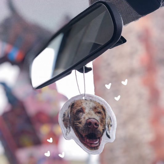 Pawsome Aromatizante para Auto Personalizado | Car Air Freshener