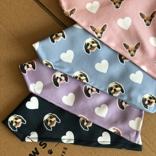 Bandana Personalizada Mini Hearts