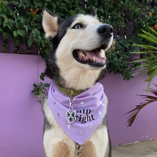 Bandana SHINE BRIGHT ✨