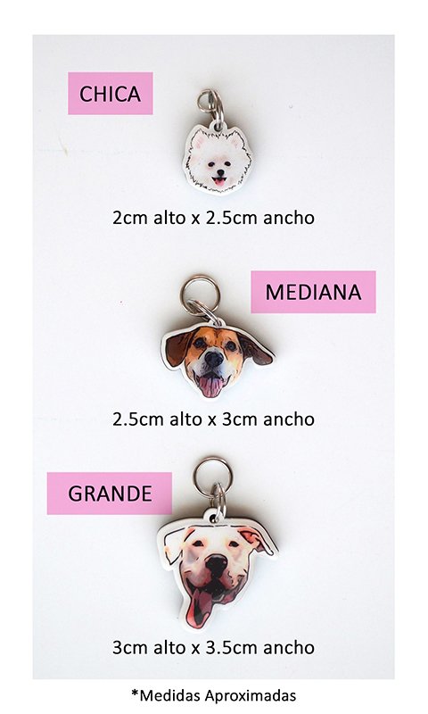 Placa ID | Placa para Perro | Plaquita de Identificación Personalizada