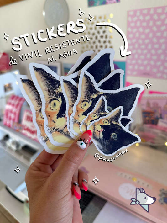 Bumper Stickers Personalizados de Vinil - ¡100% resistentes al AGUA!