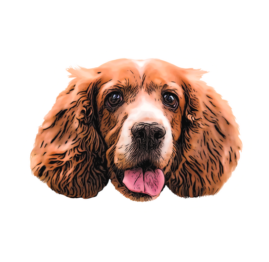 Ilustración Mascota Adicional