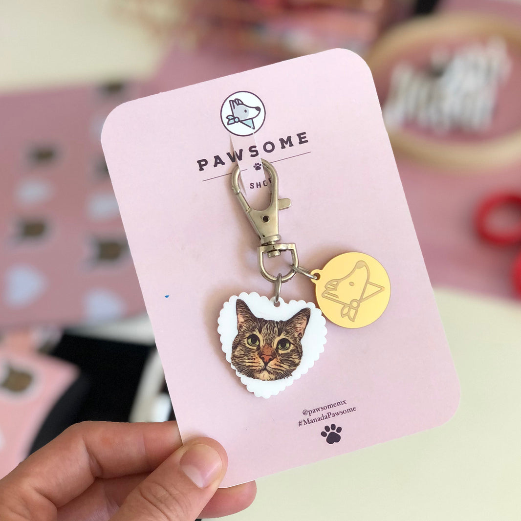 Productos – Pawsome Shop