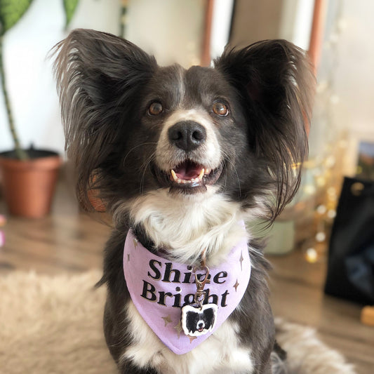 Bandana SHINE BRIGHT ✨