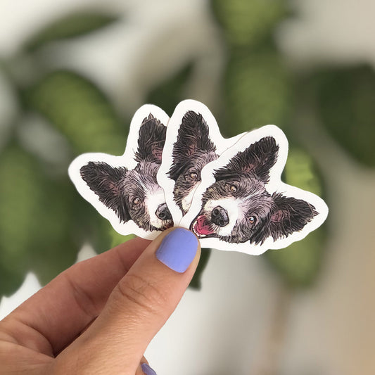 Stickers Personalizados | Pawsome SHOP