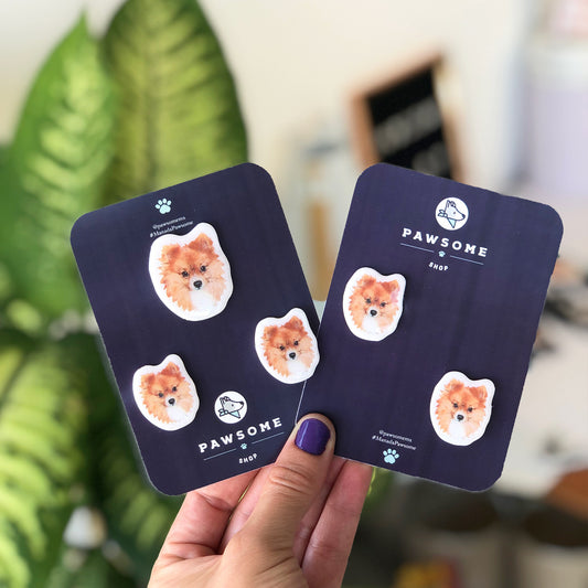 Set Imanes | Pawsome SHOP