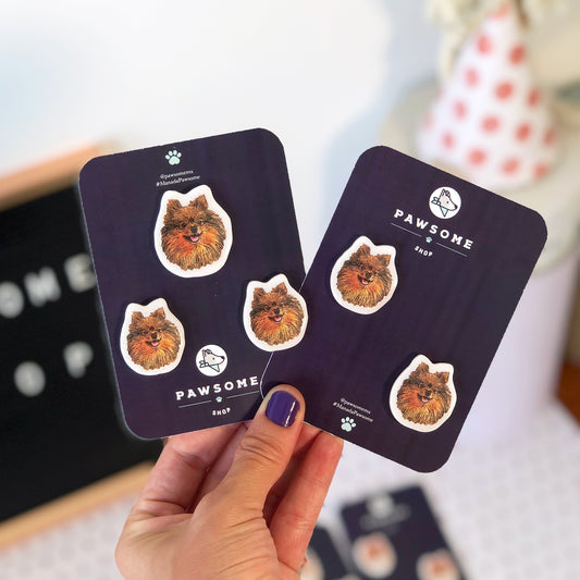 Set Imanes | Pawsome SHOP