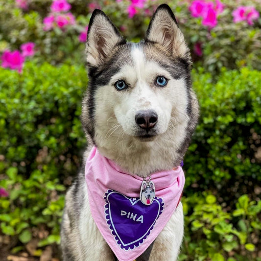 Bandana Personalizada Pink Heart