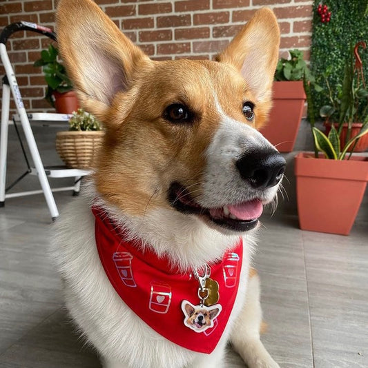 Bandana (RED) Holographic Capuccino Love