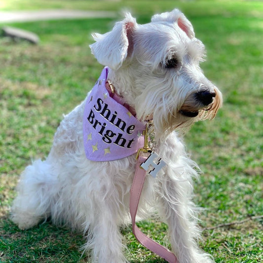 Placa ID Pawsome LETTER