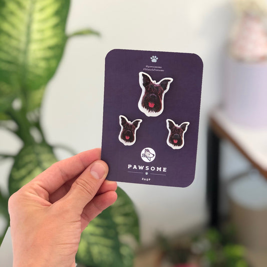 Set de Pines | Pawsome SHOP